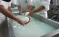 /album/galleria-foto-prodotti-1/mozzarella-di-bufala-campana-dop-jpg/